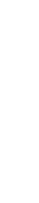 沖縄県産のゴーヤを使用。