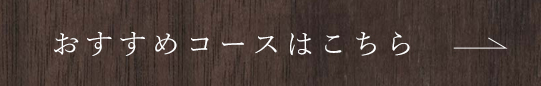 おすすめコースはこちら