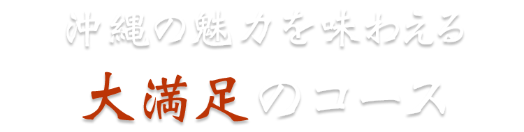 沖縄の魅力を味わえる大満足のコース