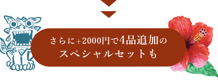 さらに+2000円で4品追加のスペシャルセットも